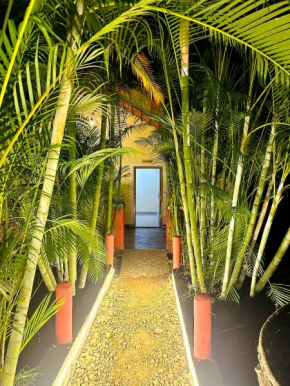 Dandeli Kali Resort
